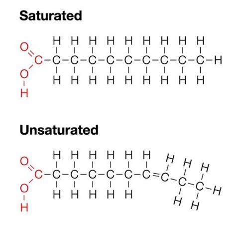 saturated fatty acids quizlet.
